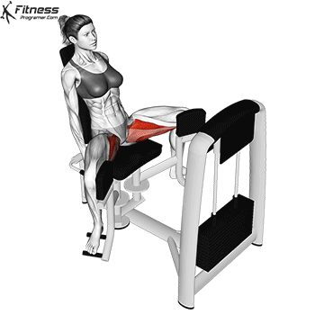 Hip Abductor hareket gösterimi