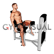 Hip Adductor hareket gösterimi