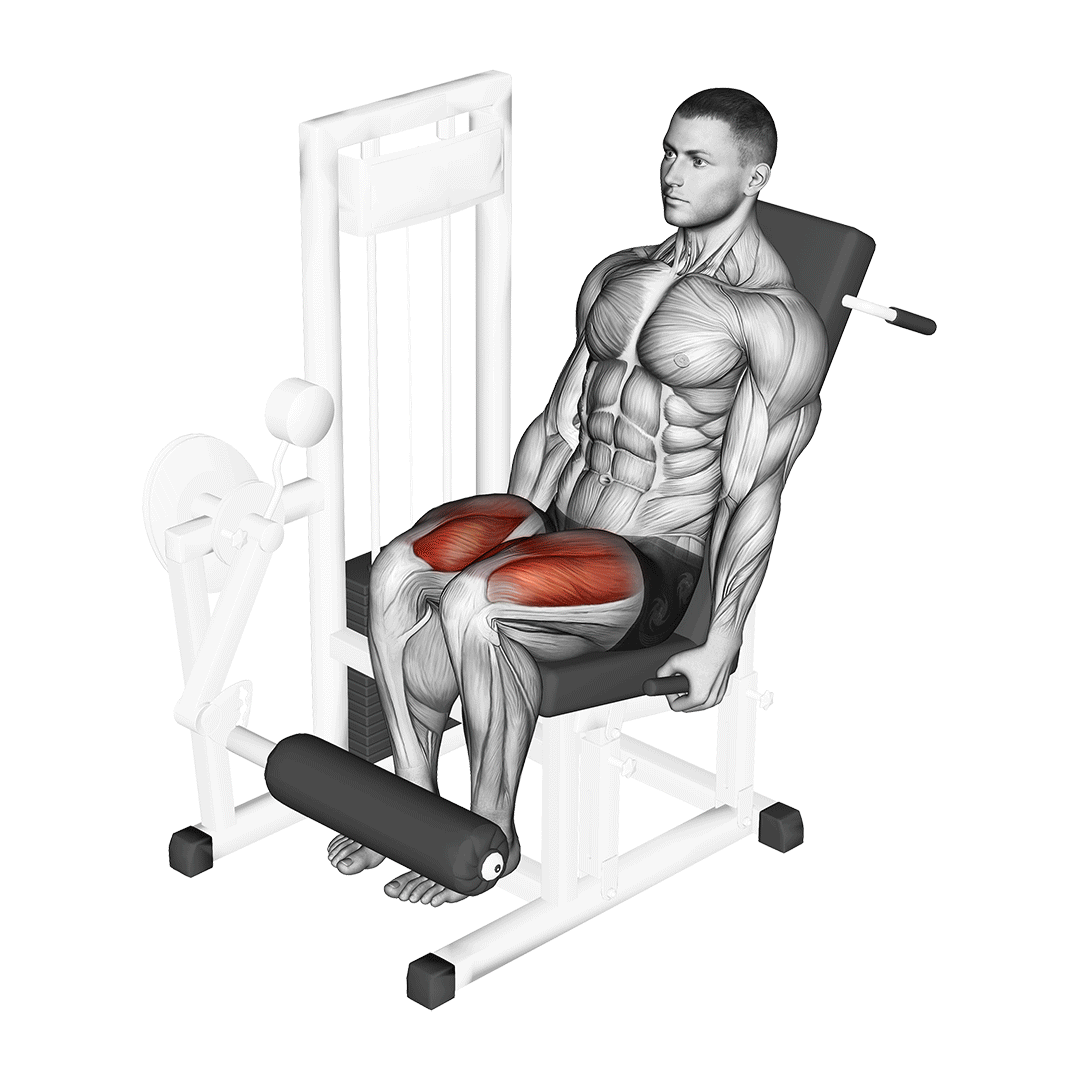 Leg Extension hareket gösterimi