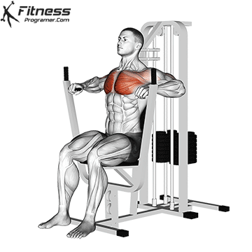 Machine Bench Press hareket gösterimi