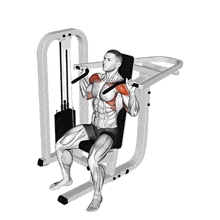 Machine Shoulder Press hareket gösterimi