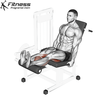 Seated Leg Curl hareket gösterimi